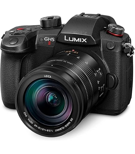 Amazon Canada: Panasonic LUMIX GH6, 25.2MP Mirrorless Micro Four